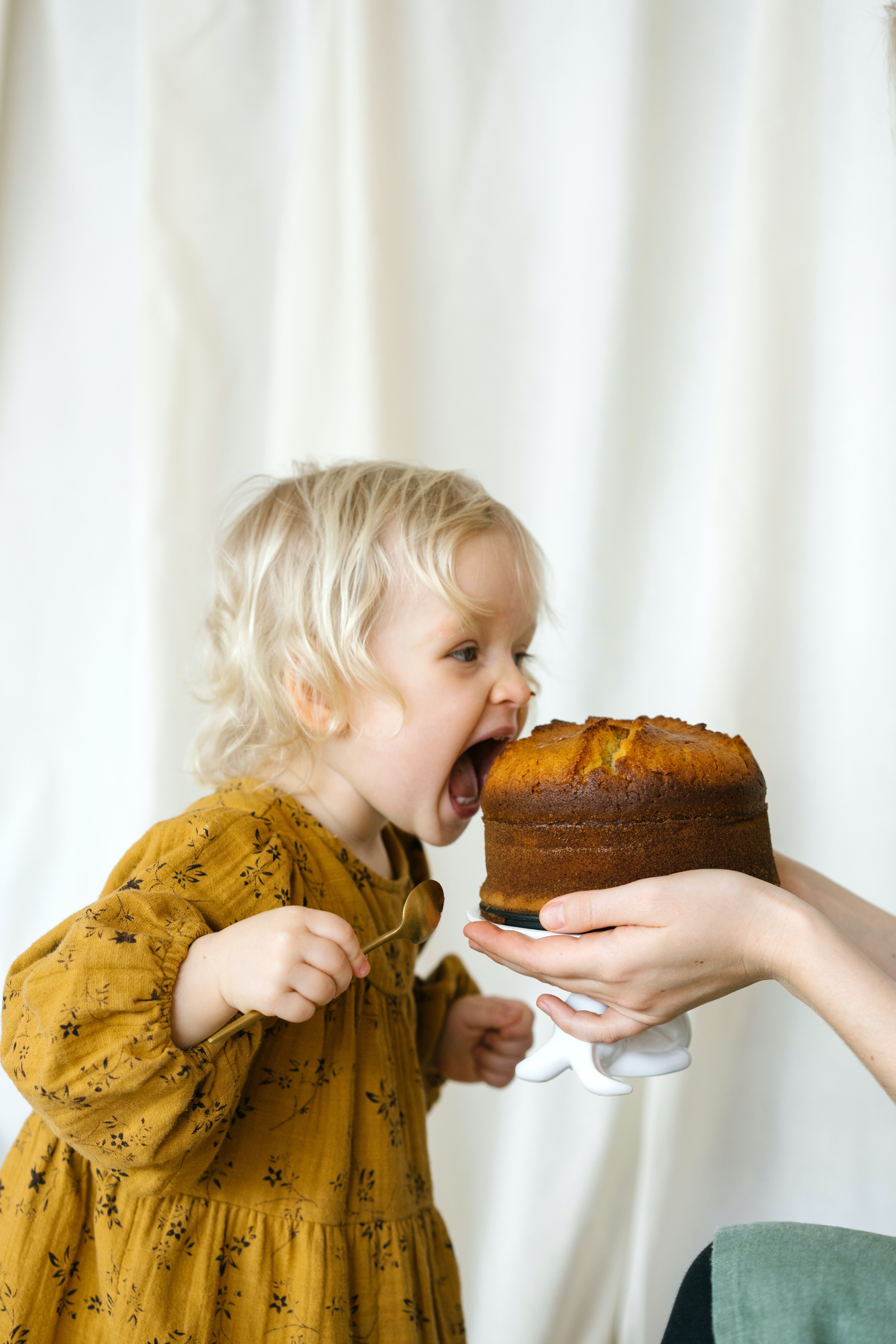 Insightful Exploration of Dopamine’s Role in Binge Eating